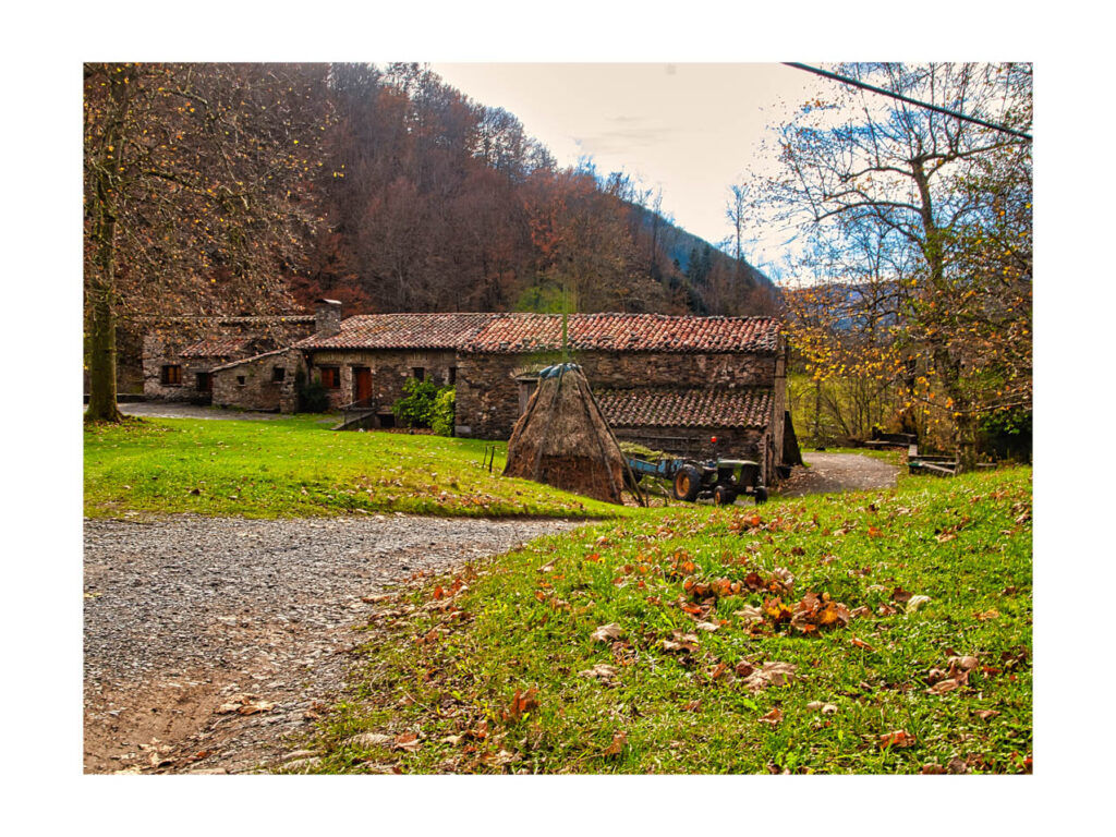 00096530 editar